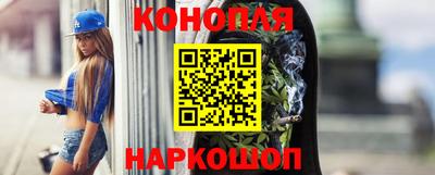 крисы Пенза