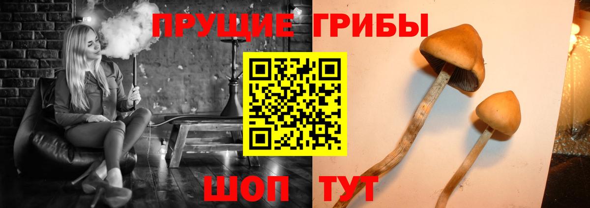 Сегежа  Галлюциногенные грибы ЛСД  Вход с VPN 
